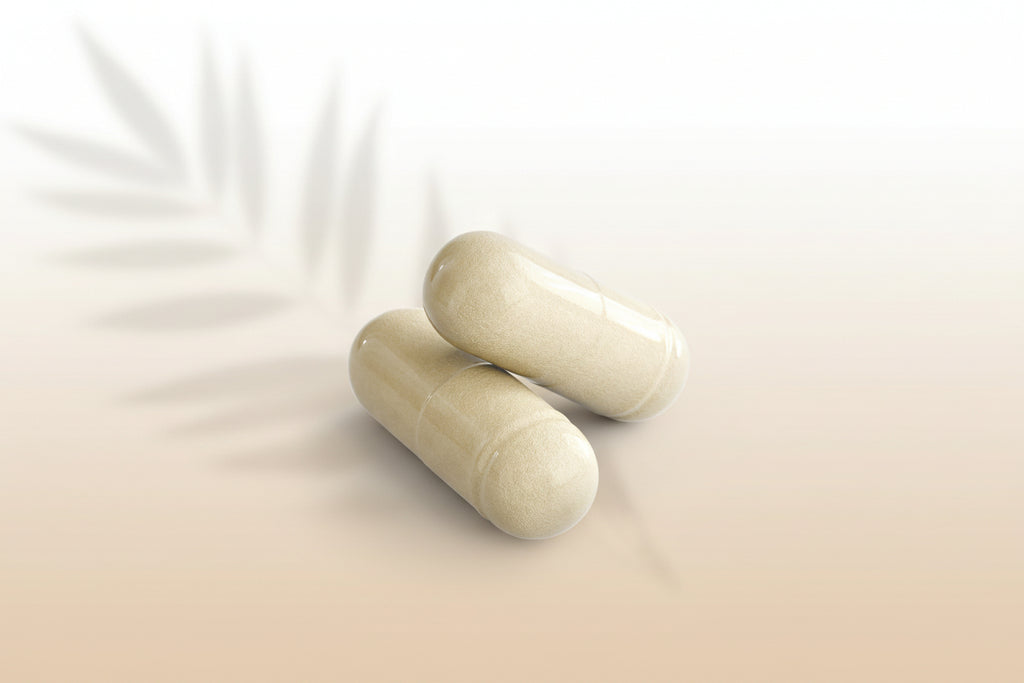 Gut Health
